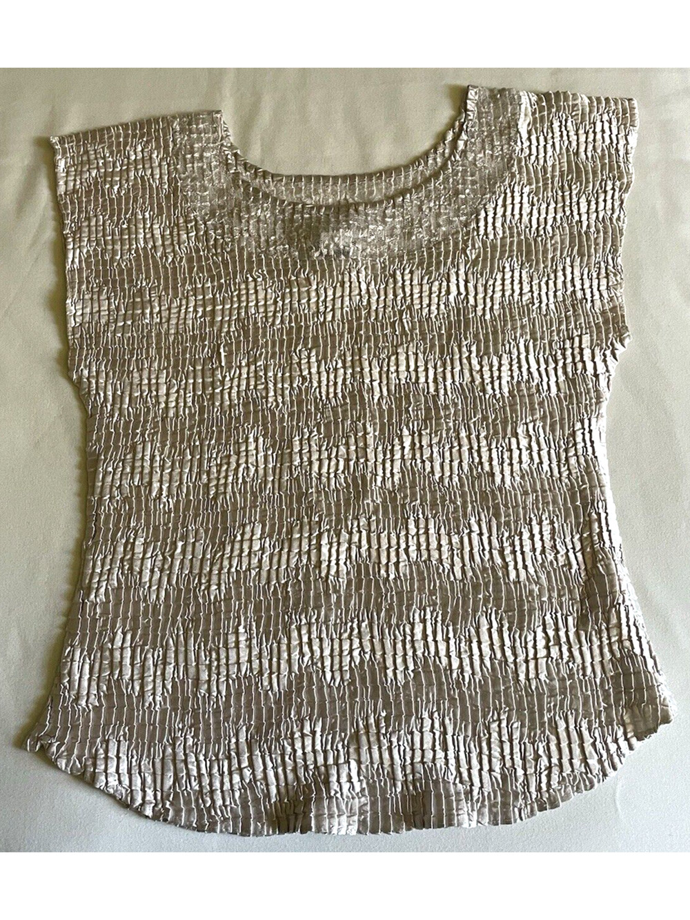 Nicola Being Platinum Stretch Top Women’s Size 1X Pullover Sleeveless Stritch